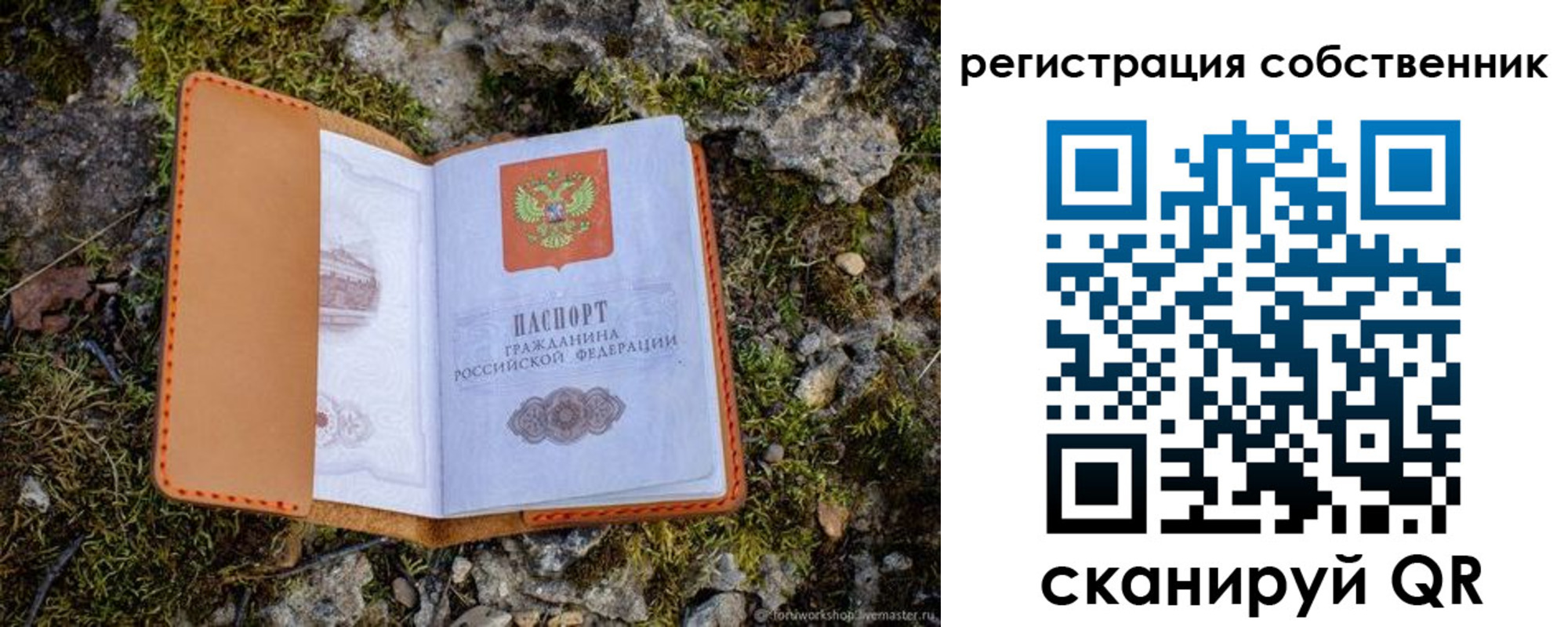 прописка поиск в Струнино